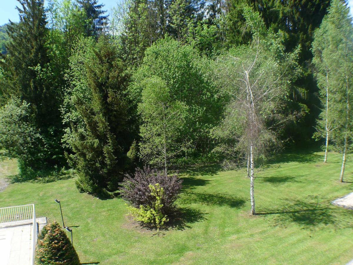 Studio Mansarde Avec Balcon, Piscine Et Parking Souterrain A Samoens - Fr-1-629-92 Exterior foto
